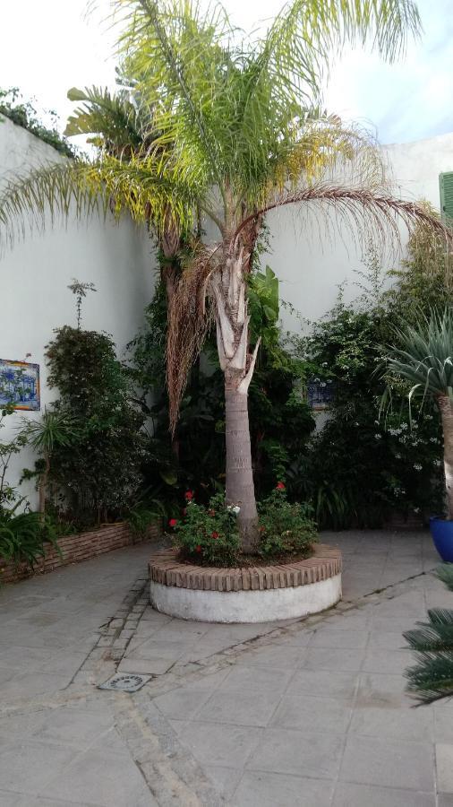 Gravina Comfort Tarifa Esterno foto